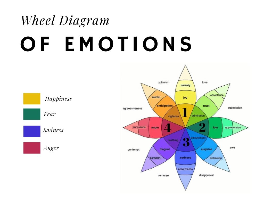 Emotions our what are We are