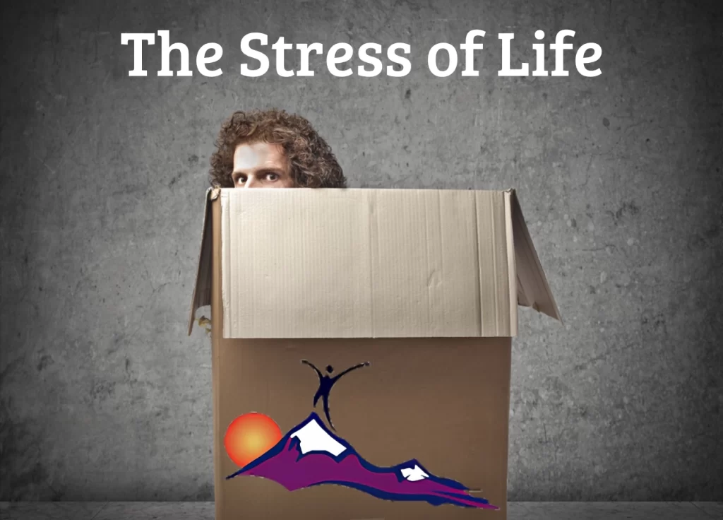 The Stress of Life