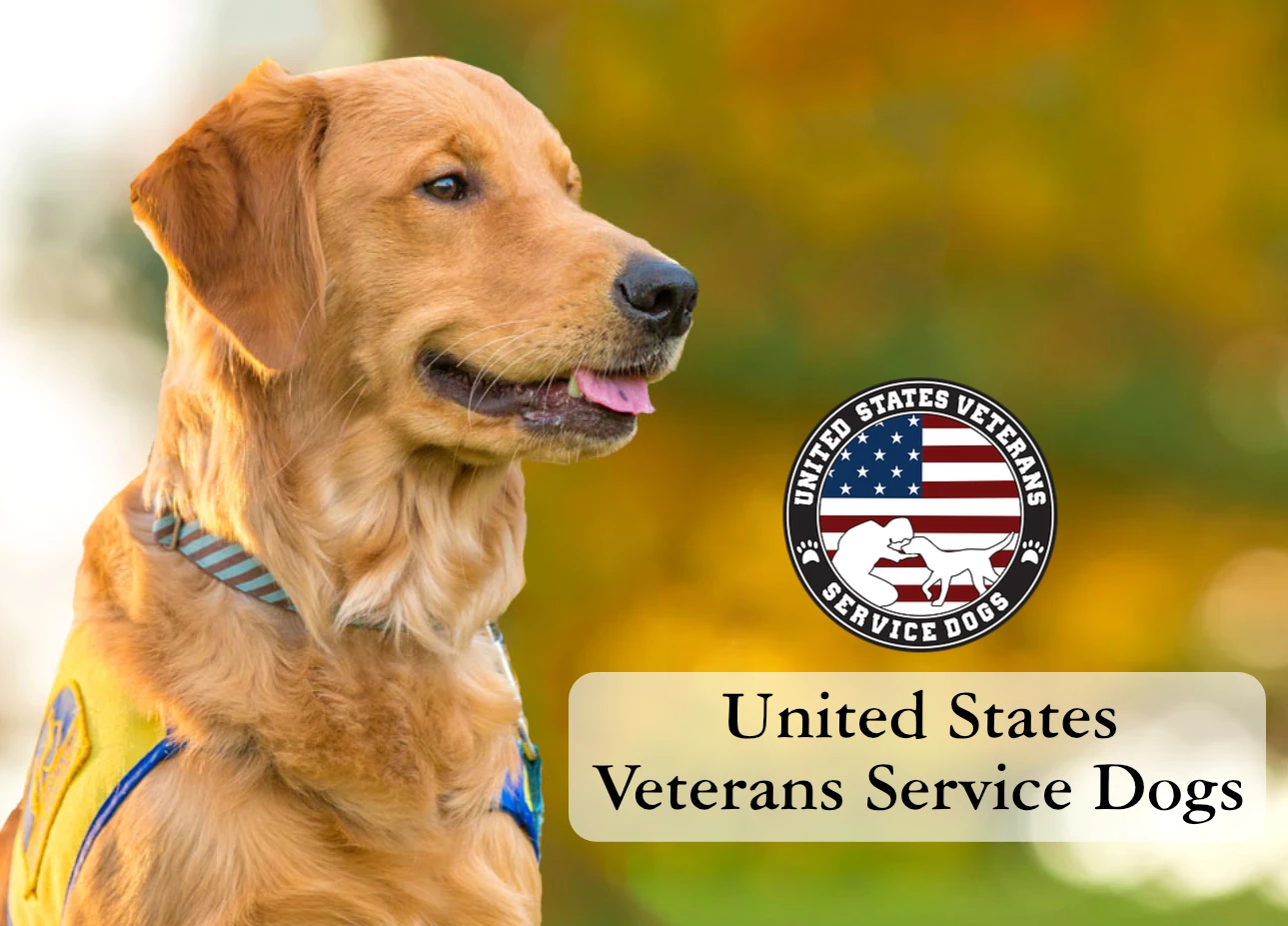 United States Veterans Service Dogs