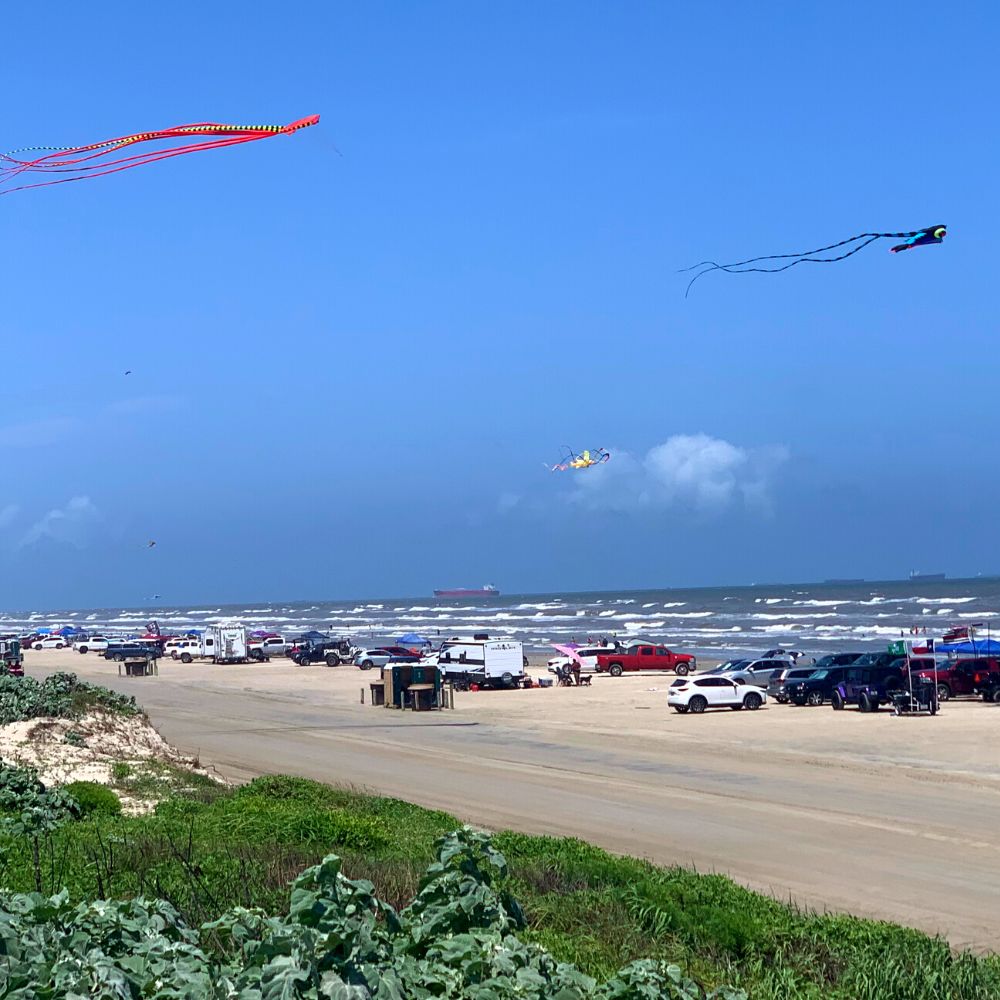 Palmilla Beach Resort fun on the beach kites