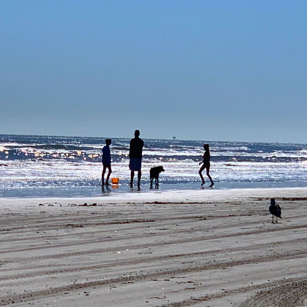 Families, including the dog, enjoy fishing together on the beach