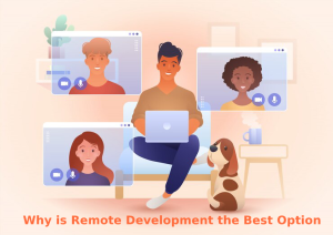 Why is Remote Development a Better Option?