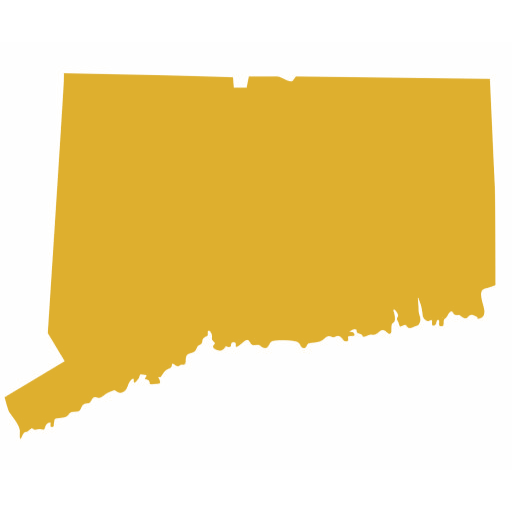 Connecticut State Icon