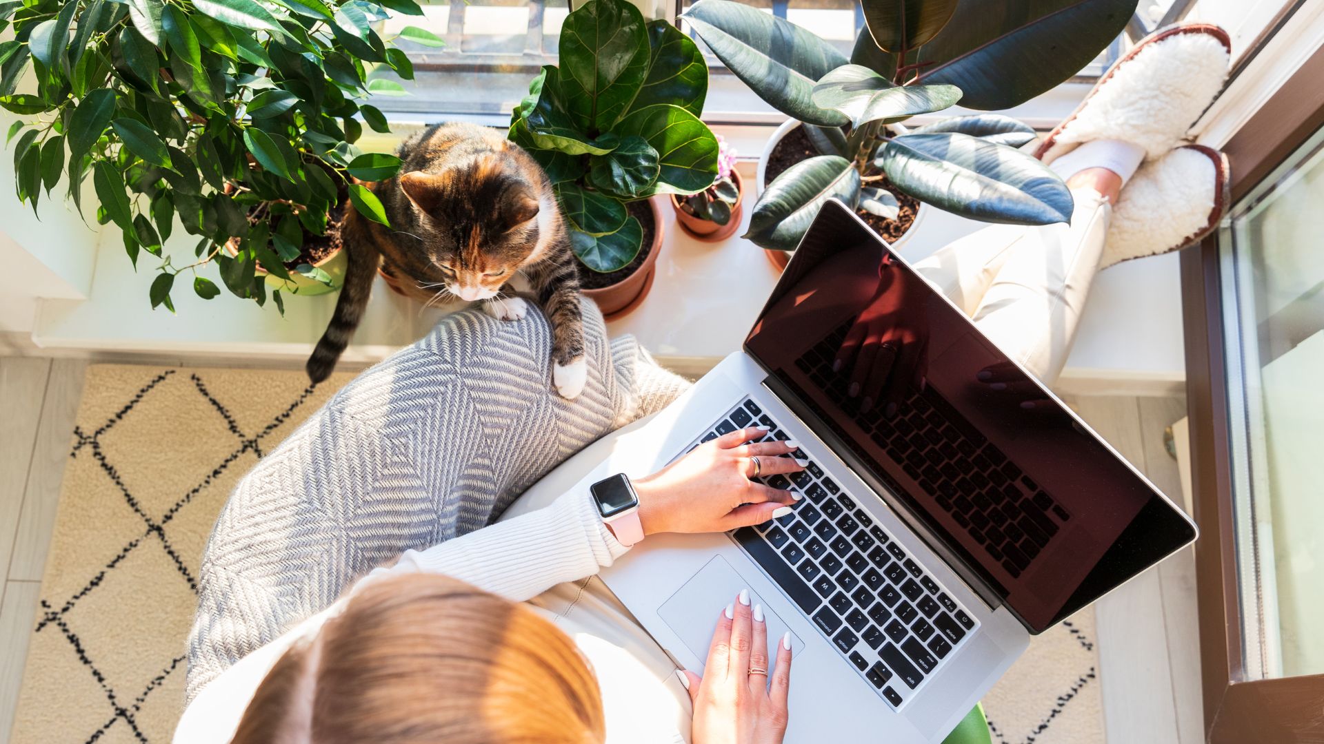 The Hidden Costs of a “Free” Business Website